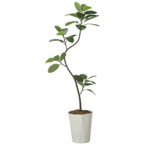���G�} �l�H�ϗt�A�� ���� �t���b�V���c�C�X�g�S���̖�1.75(�g����) (����175cm) (2625A320) �X�ܗp�i ���G�} �l�H�ϗt�A���E���ԁE�t�F�C�N�O���[�� �t���A(���^)�p�l�H�ϗt�A�� 165cm�ȏ�