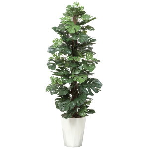 ���G�} �l�H�ϗt�A�� ���� �X�v���b�g1.35 (����135cm) (512A250) �X�ܗp�i ���G�} �l�H�ϗt�A���E���ԁE�t�F�C�N�O���[�� �t���A(���^)�p�l�H�ϗt�A�� 125�`160cm