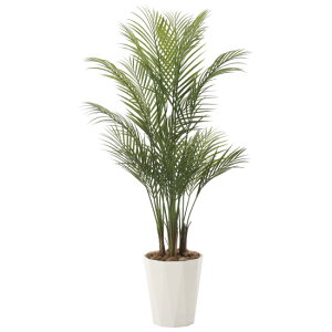 ���G�} �l�H�ϗt�A�� ���� �A���J�p-��1.35(�|����) (����135cm) (720P320) �X�ܗp�i ���G�} �l�H�ϗt�A���E���ԁE�t�F�C�N�O���[�� �t���A(���^)�p�l�H�ϗt�A�� 125�`160cm