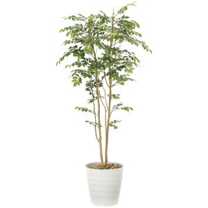 ���G�} �l�H�ϗt�A�� ���� �}�E���e���A�b�V��1.8 (����180cm) (900R480) �X�ܗp�i ���G�} �l�H�ϗt�A���E���ԁE�t�F�C�N�O���[�� �t���A(���^)�p�l�H�ϗt�A�� 165cm�ȏ�