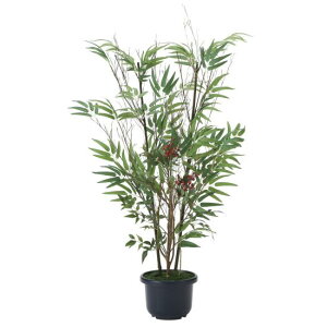 G} lHϗtA  |V1.0 (100cm) Xܗpi G} lHϗtAEԁEtFCNO[ tA(^)p 125cm