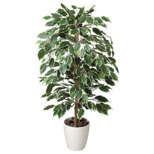 G} lHϗtA  S[ftBJX 1.0 (100cm) Xܗpi G} lHϗtAEԁEtFCNO[ tA(^)p 125cm