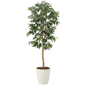 【送料無料】【2020年新商品】アルデシア(万両)1.3 (人工観葉植物) 高さ130cm 光触媒機能付 (2033A200)