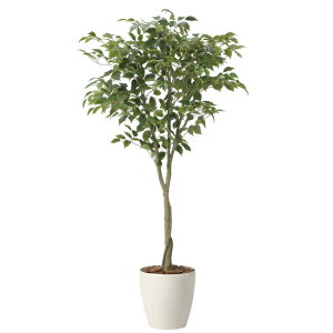 ���G�} �l�H�ϗt�A�� ���� �t�B�J�X�c���[1.65 (����165cm) (2435A290) �X�ܗp�i ���G�} �l�H�ϗt�A���E���ԁE�t�F�C�N�O���[�� �t���A(���^)�p�l�H�ϗt�A�� 165cm�ȏ�