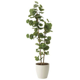 光触媒 人工観葉植物 シーグレープ1.6 (高さ160cm) 店舗用品 光触媒 人工観葉植物・造花・フェイクグリーン フロア(鉢型)用 125～160cm