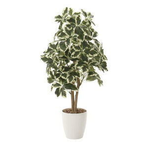 G} lHϗtA VFt90 (90cm) Xܗpi G} lHϗtAEԁEtFCNO[ tA(^)p 125cm