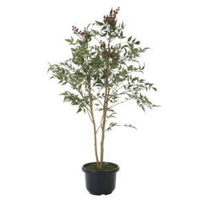 G} lHϗtA  V1.0 (100cm) Xܗpi G} lHϗtAEԁEtFCNO[ tA(^)p 125cm