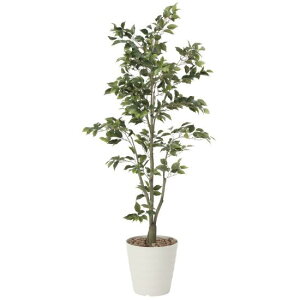 G} lHϗtA tBJXc[1.8 (180cm) Xܗpi G} lHϗtAEԁEtFCNO[ tA(^)p 165cmȏ