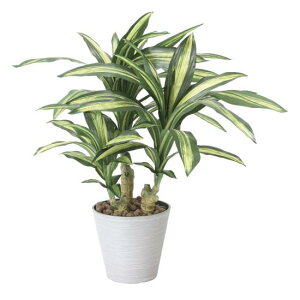 G} lHϗtA  K̖S (60cm) Xܗpi G} lHϗtAEԁEtFCNO[ tA(^)p 125cm