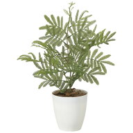 光触媒 人工観葉植物 造花 ねむの木(ポリ製) (高さ50cm) (2254A50) 店舗用品 光触媒 人工観葉植物・造花…