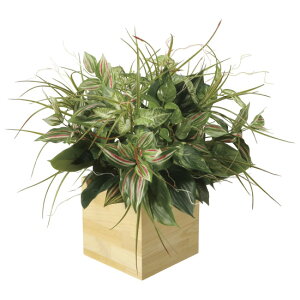 ���G�} �l�H�ϗt�A�� ���� �E�b�h�{�b�N�XT (����60cm) (2635A165) �X�ܗp�i ���G�} �l�H�ϗt�A���E���ԁE�t�F�C�N�O���[�� �e�[�u��(���)�p�l�H�ϗt�A��