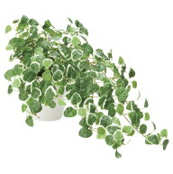 光触媒 人工観葉植物 造花 プミラ (高さ25cm) (557H70) 店舗用品 光触媒 人工観葉植物・造花・フェイクグ…