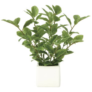 ���G�} �l�H�ϗt�A�� ���� �~�j���[�t (����21cm) (936K28) �X�ܗp�i ���G�} �l�H�ϗt�A���E���ԁE�t�F�C�N�O���[�� �e�[�u��(���)�p�l�H�ϗt�A��
