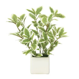 G} lHϗtA ~j[tG/W (21cm) Xܗpi G} lHϗtAEԁEtFCNO[ e[u()p