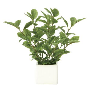 G} lHϗtA ~j[t (21cm) Xܗpi G} lHϗtAEԁEtFCNO[ e[u()p