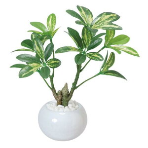 G} lHϗtA  VFt|bg (23cm) Xܗpi G} lHϗtAEԁEtFCNO[ e[u()p