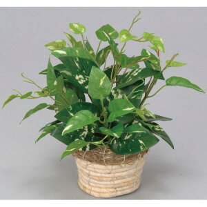 G} lHϗtA  ~j|gX (25cm) Xܗpi G} lHϗtAEԁEtFCNO[ e[u()p