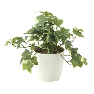 G} lHϗtA tbVACr[S (25cm) Xܗpi G} lHϗtAEԁEtFCNO[ e[u()p