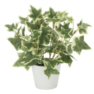 G} lHϗtA  ACr\ (23cm) Xܗpi G} lHϗtAEԁEtFCNO[ e[u()p