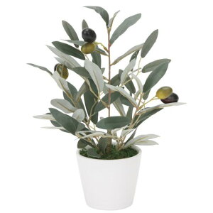 G} lHϗtA  ~jI\u (30cm) Xܗpi G} lHϗtAEԁEtFCNO[ e[u()p