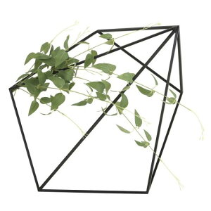 G} lHϗtA  ǖʗΉLE\E (18cm) Xܗpi G} lHϗtAEԁEtFCNO[ Ǌ| ǖʗp