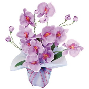 G} lHϗtA  zbgt@m (35cm) Xܗpi G} lHϗtAEԁEtFCNO[ e[u()