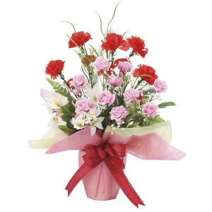 G} lHϗtA  ~bNXJ[l[V (50cm) Xܗpi G} lHϗtAEԁEtFCNO[ e[u()