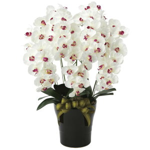 ���G�} �l�H�ϗt�A�� ���� �v���~�A���Ӓ���5�{��W/AB (����75cm) (653K200) �X�ܗp�i ���G�} �l�H�ϗt�A���E���ԁE�t�F�C�N�O���[�� �l�H�Ӓ���