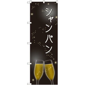 ̂ڂ Vp (SNB-2063) lR|X Ee퉃 CEĒE{