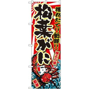 ̂ڂ t (SNB-1474) lR|X iECN Jj(I)