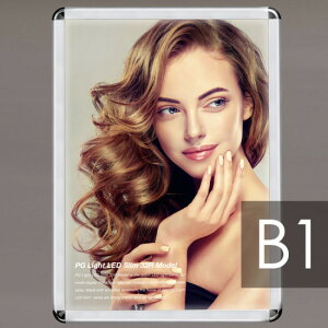 PG���C�gLED�X���� PG-32R���f��(LED) B1�T�C�Y R�^ �����p �J���[(�d�l):��L�V���o�[(�Ǌ|�p) (PGL-32R-B1-AG-Wall) �|�X�^�[�t���[�� LED���C�e�B���O�^�C�v(B1) ���@�l�l����i�l��z���s�j