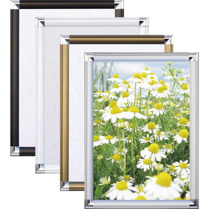 |bvt[ B3 zCg |X^[t[ B3TCY