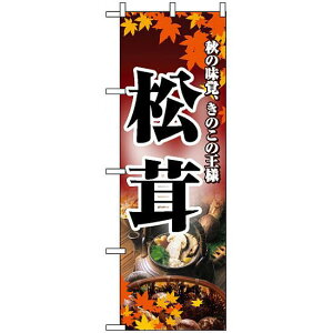 ̂ڂ (2734)  H̖ổl ʐ^gp lR|X 