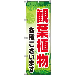 ̂ڂ ϗtAe킲܂ (GNB-2531) lR|X ԁE|