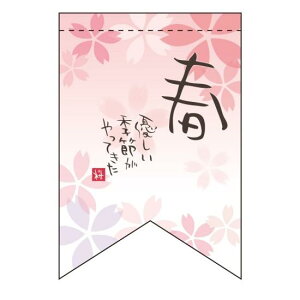 ό`^yXg[ t DG߁i{Jbgj (60972) ̑pi X|bv X^yXg[