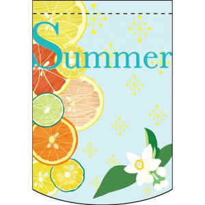 ό`^yXg[ Summer t[c (61086) ̑pi X|bv X^yXg[