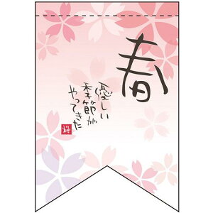 tDG {^ ~jtbO(ՌEʈ) (61013) ̑pi X|bv X܃~jtbOEtbOp|[ G߃Cxg