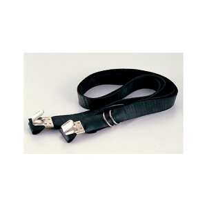 oh(rE܊֌W) (10) (376-66) SpiEHŔ SW SюgpW