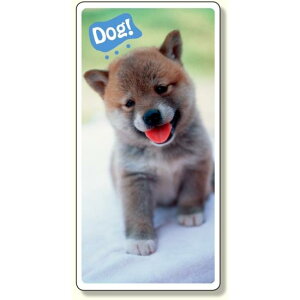 tHgWCV[ t@j[Jpj[  (915-43) SpiEHŔ ۈpiEHpi W