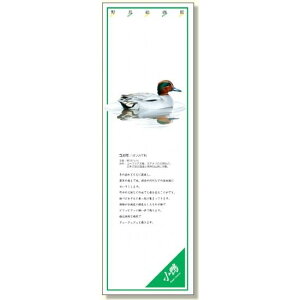 V[M[ 쒹G RK (916-44) SpiEHŔ ۈpiEHpi W