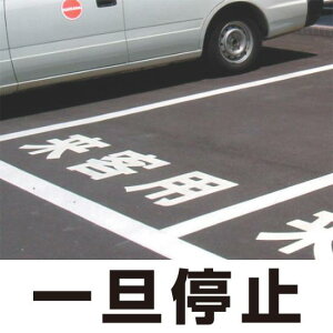 H\V[g uU~v S 300p (835-022Y) SpiEHŔ ʕWEHʕW Hʕ\pi Hʕ\pV[g