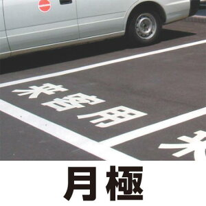 H\V[g uɁv S 300p (835-031Y) SpiEHŔ ʕWEHʕW Hʕ\pi Hʕ\pV[g