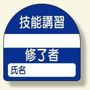 C҃XebJ[ Z\uK (371-22) SpiEHŔ Sی wbgpXebJ[Epi