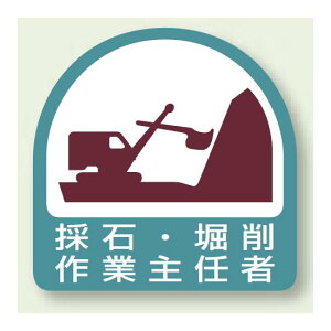 ƏAC҃XebJ[ ̐΁E@ƎC 21g (851-20) SpiEHŔ Sی wbgpXebJ[Epi