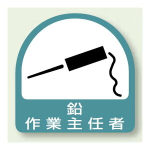 ƏAC҃XebJ[ ƎC 21g (851-31) SpiEHŔ Sی wbgpXebJ[Epi