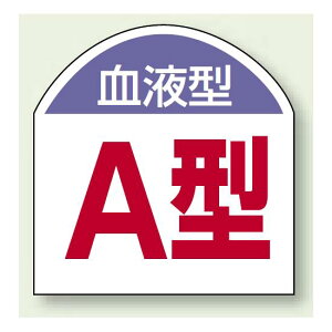 t^XebJ[ A^ 101V[g (851-86) SpiEHŔ Sی wbgpXebJ[Epi