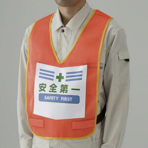 ʕ\txXg uIW S (873-90R) SpiEHŔ Sی SxXgE`bL 񔽎˃xXg