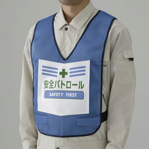 ʕ\txXg  Spg[ (873-91BL) SpiEHŔ Sی SxXgE`bL 񔽎˃xXg