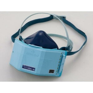 ւh}XN (379-121A) SpiEHŔ Sی ƗpEHp}XNA