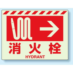 ΐW E ~XebJ[ 225×300 (831-55) SpiEHŔ ЊQ΍WEUŔ ΂̂߂̏Ί̕\